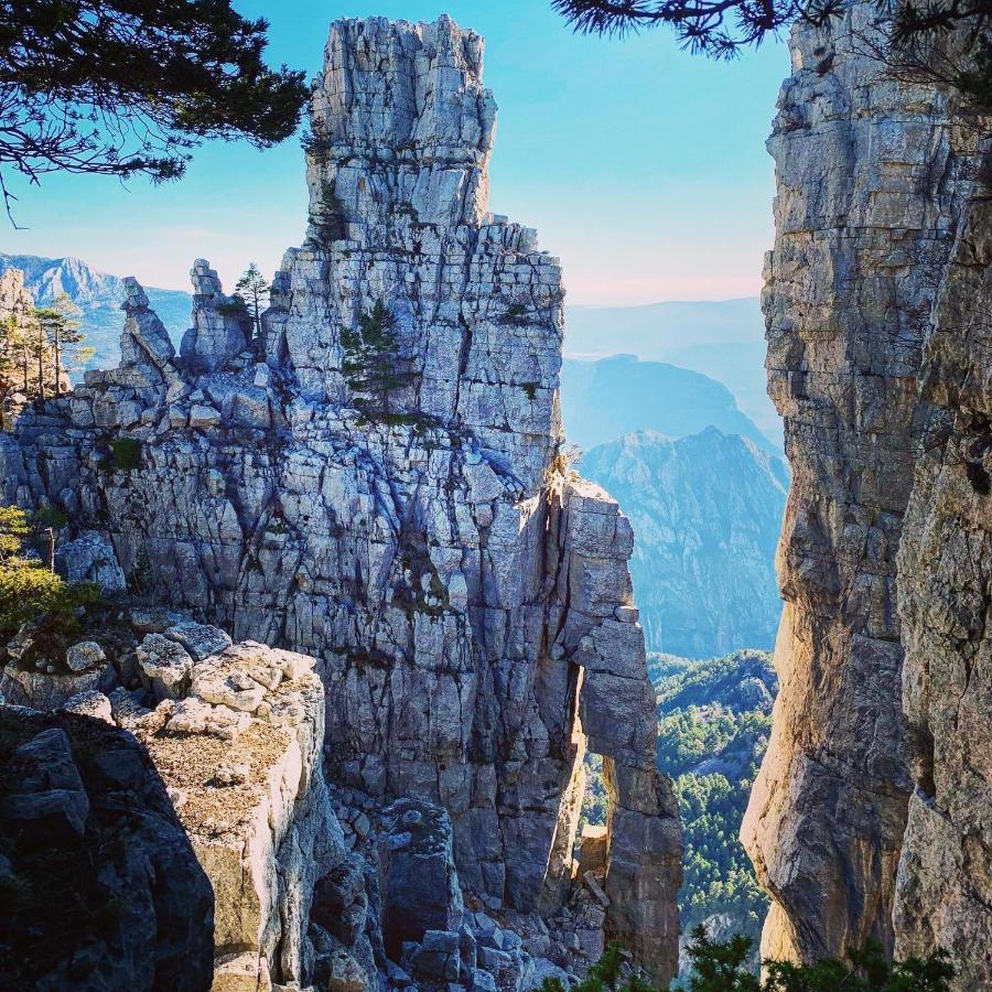Gite D'Etape Bastide Petra Castellana Verdon 卡斯特拉讷 外观 照片