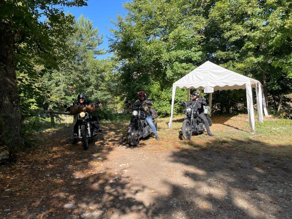 Gite D'Etape Bastide Petra Castellana Verdon 卡斯特拉讷 外观 照片